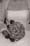 1-thi-bouquet_thmb.jpg